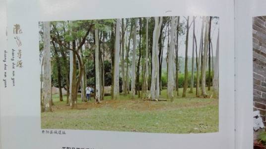 开阳县（位于广东省罗定市境内的古县）