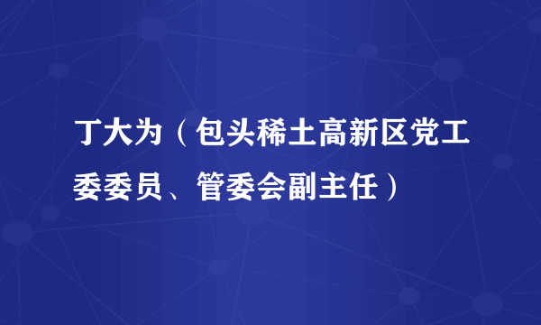 丁大为（包头稀土高新区党工委委员、管委会副主任）
