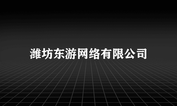 潍坊东游网络有限公司