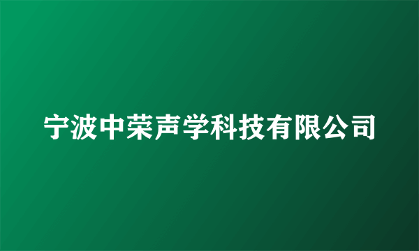 宁波中荣声学科技有限公司