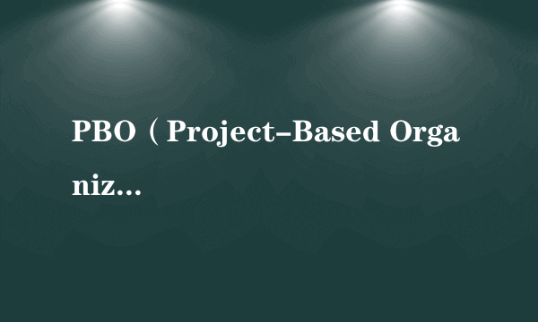 PBO（Project-Based Organizations 基于项目的组织）
