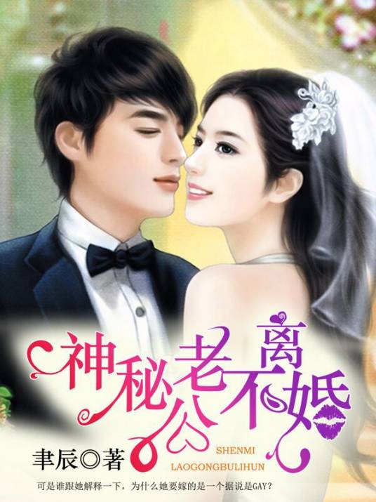 神秘老公不离婚（聿辰创作的网络小说）
