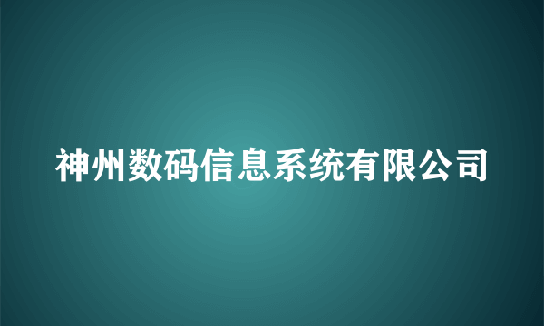 神州数码信息系统有限公司