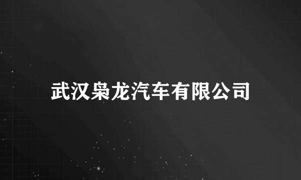 武汉枭龙汽车有限公司