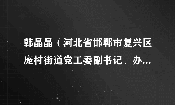 韩晶晶（河北省邯郸市复兴区庞村街道党工委副书记、办事处主任）