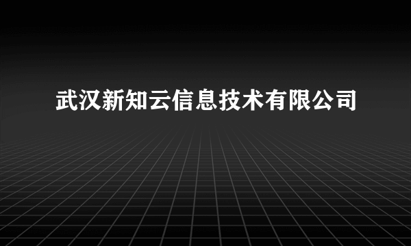 武汉新知云信息技术有限公司