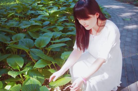 凡心（女作家）