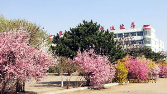 怀仁市琢玉中学