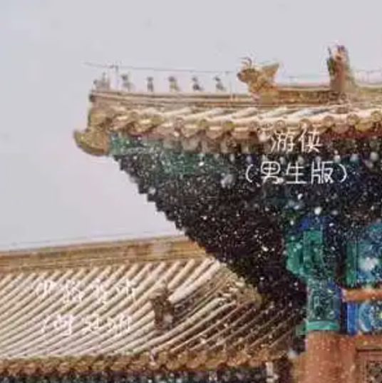 游侠（伊格赛听 /向廷珊演唱的歌曲）