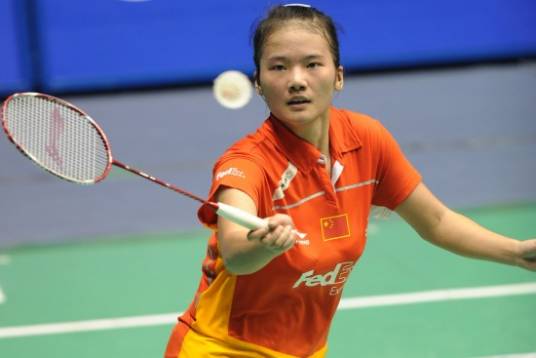 陈晓佳（前中国羽毛球队女子单打运动员、中南林业科技大学教师）