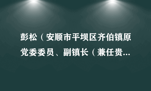 彭松（安顺市平坝区齐伯镇原党委委员、副镇长（兼任贵州贵安新区中兴国有资产投资控股有限公司副总经理））