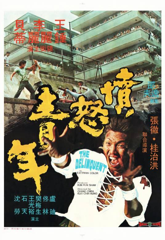 愤怒青年（1973年张彻、桂治洪执导的电影）