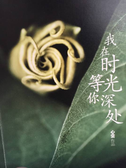 我在时光深处等你（2012年中国华侨出版社出版的图书）