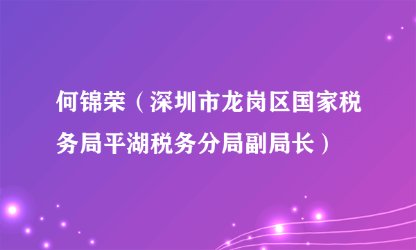 何锦荣（深圳市龙岗区国家税务局平湖税务分局副局长）