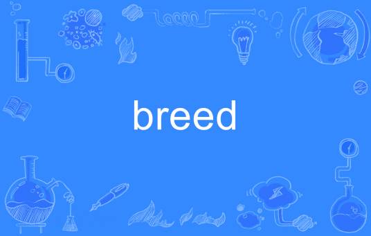 breed（英语单词）