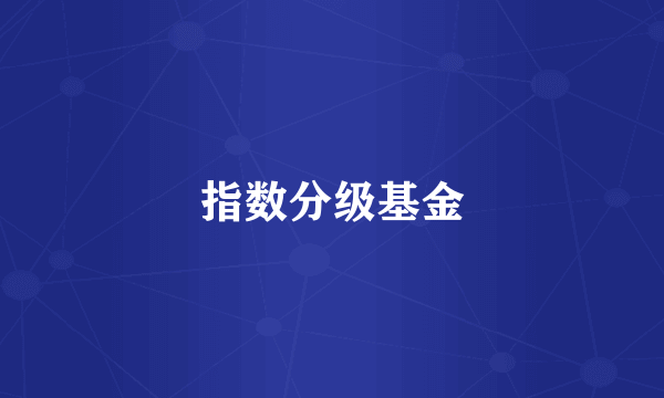 指数分级基金