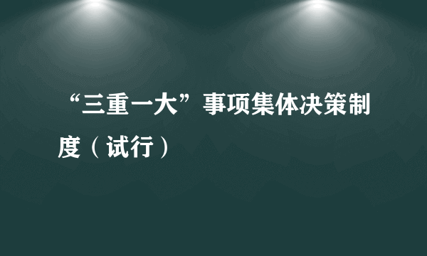 “三重一大”事项集体决策制度（试行）