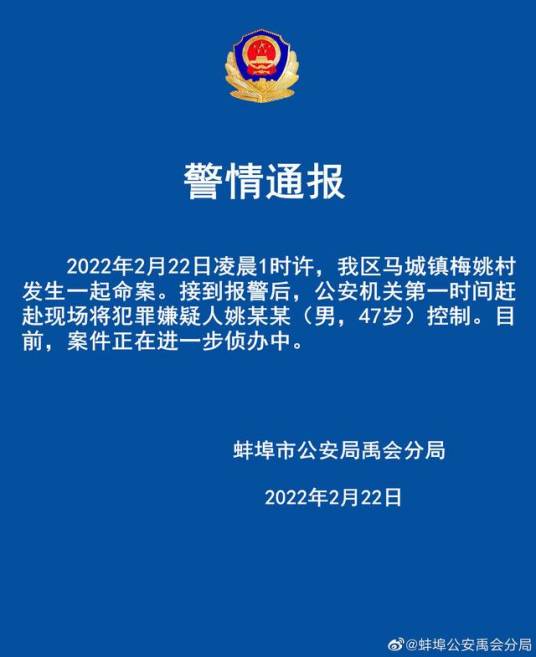 2·22蚌埠杀人案