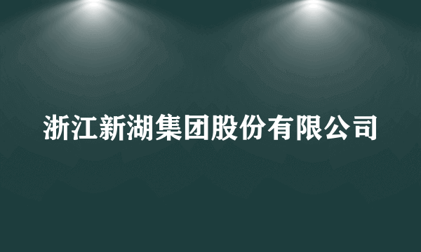 浙江新湖集团股份有限公司