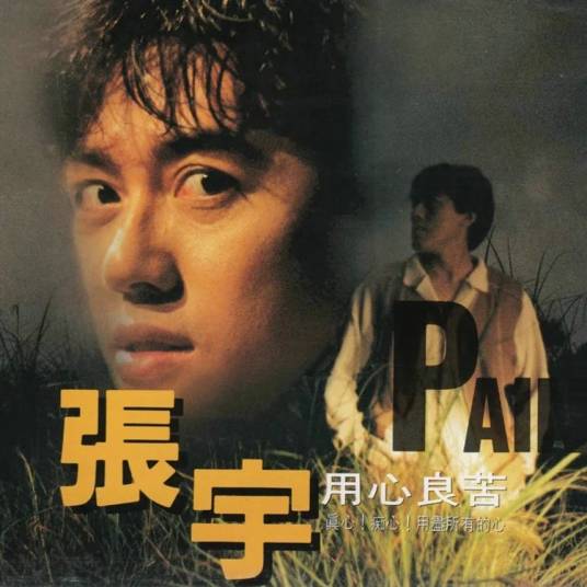 用心良苦（1993年张宇发行的专辑）
