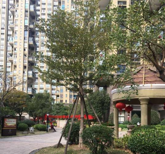特房五缘新座