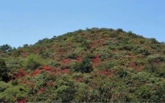 云南观音山国家森林公园