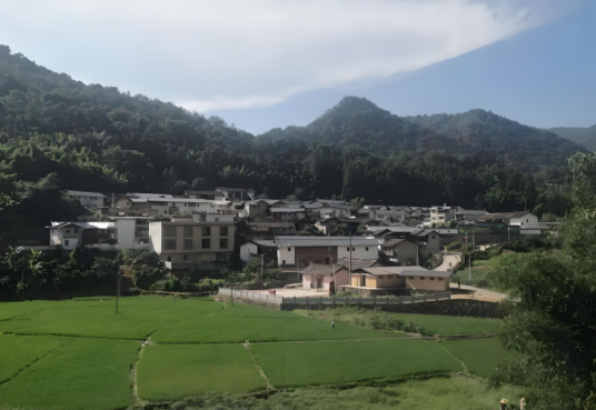 大埔丰溪森林度假区
