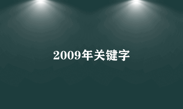 2009年关键字