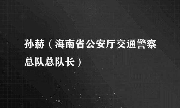 孙赫（海南省公安厅交通警察总队总队长）