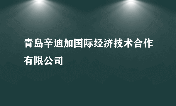 青岛辛迪加国际经济技术合作有限公司