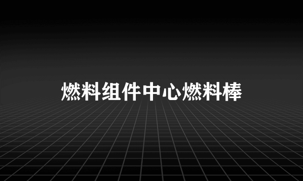 燃料组件中心燃料棒
