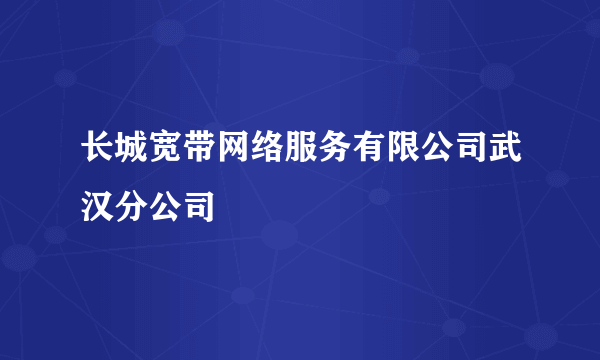 长城宽带网络服务有限公司武汉分公司