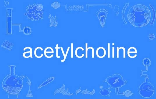 acetylcholine