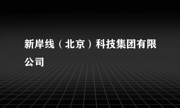 新岸线（北京）科技集团有限公司