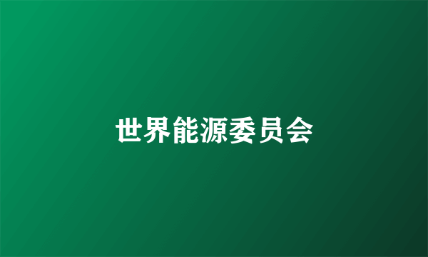 世界能源委员会