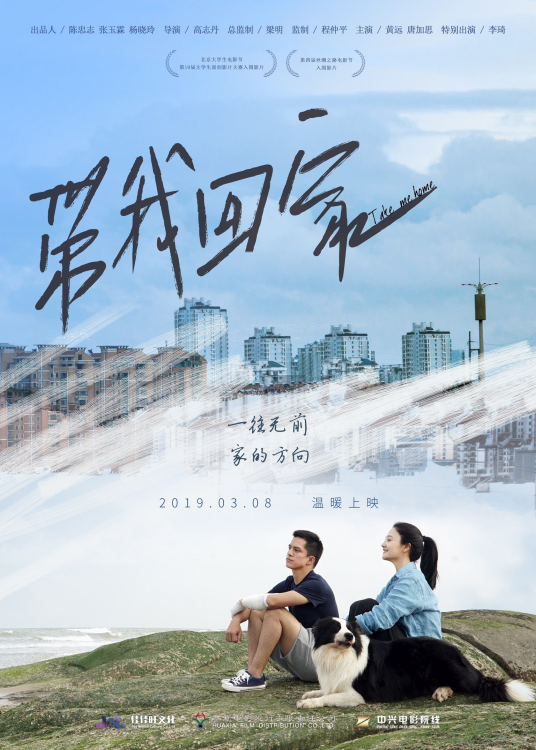 带我回家（2019年高志丹执导的电影）