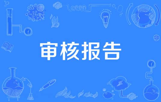 审核报告