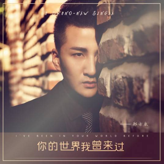 你的世界我曾来过（郑亦辰演唱歌曲）