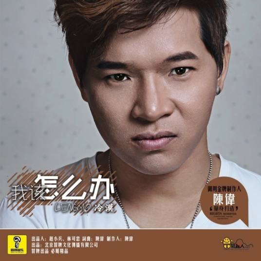 我该怎么办（冷漠演唱歌曲）