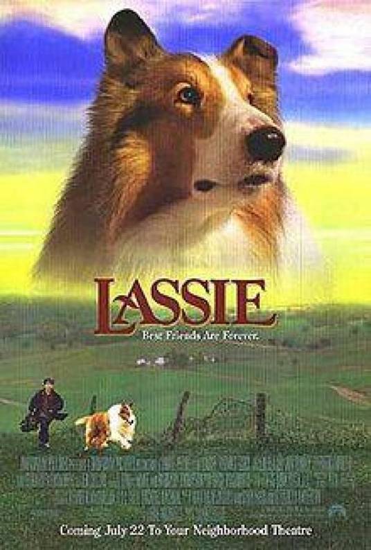 新灵犬莱西（美国1994年丹尼尔·皮特里执导的家庭电影）