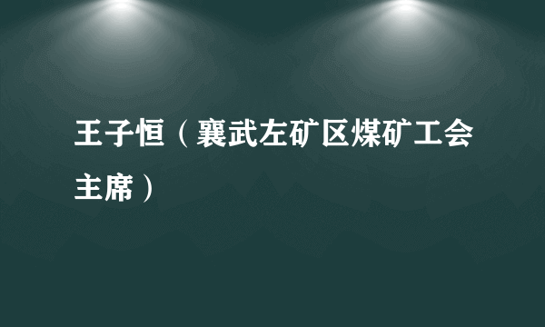 王子恒（襄武左矿区煤矿工会主席）