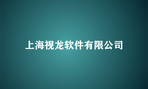 上海视龙软件有限公司
