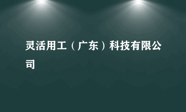 灵活用工（广东）科技有限公司