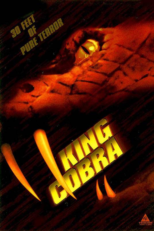 眼镜王蛇（美国1999年斯科特·希伦布兰德主演电影）