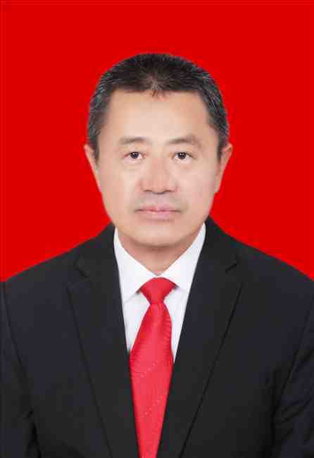 陈少峰（中卫中学校长）