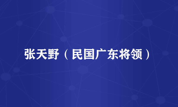 张天野（民国广东将领）
