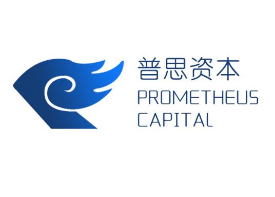 上海普思投资有限公司