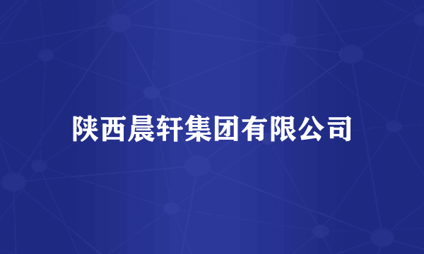陕西晨轩集团有限公司