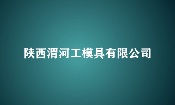 陕西渭河工模具有限公司