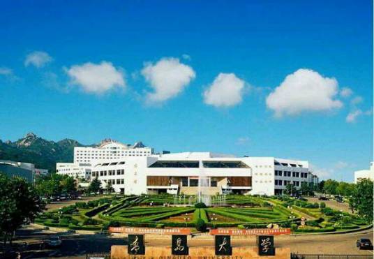 青岛大学复杂性科学研究所
